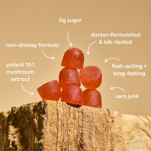0g sugar (at the top, pointing down to the products)
non-drowsy formula (pointing right to the gummies)
potent 10:1 mushroom extract (pointing right to the gummies)
doctor-formulated & lab-tested (pointing left to the gummies)
fast-acting + long-lasting (pointing left to the gummies)
zero junk (pointing left to the gummies)
The image shows several red/orange colored gummy supplements stacked on what appears to be a wooden log or tree stump against a warm, golden background.